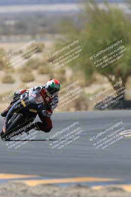 media/May-14-2023-SoCal Trackdays (Sun) [[024eb53b40]]/Turn 5 Tree of Life (1125am)/